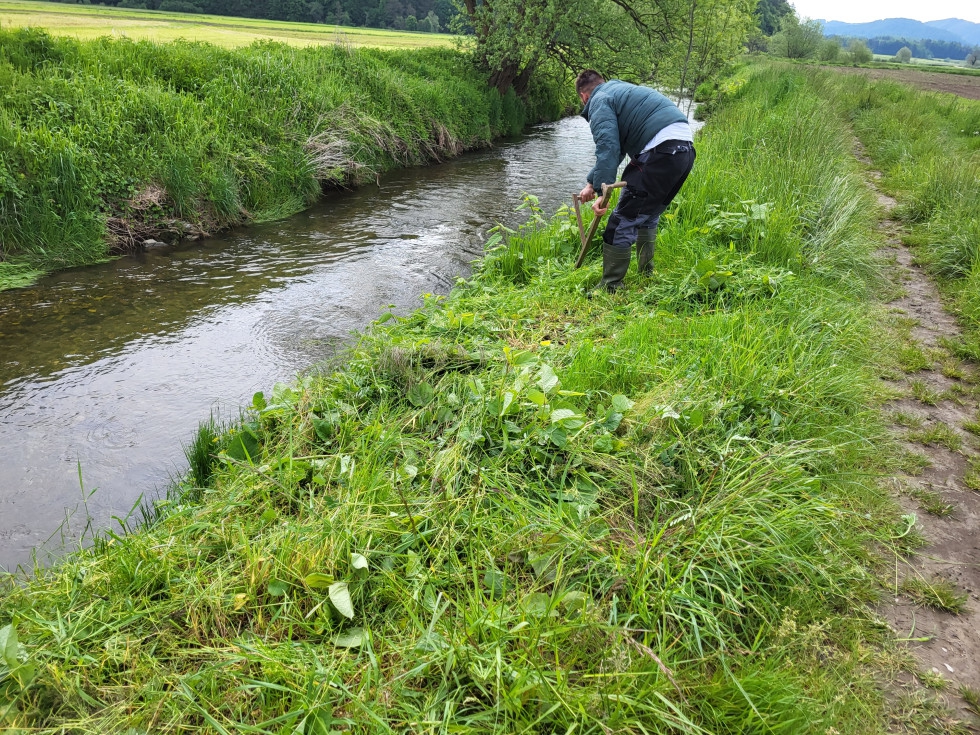 Košnja brežine vodotoka. Foto: Direkcija RS za vode