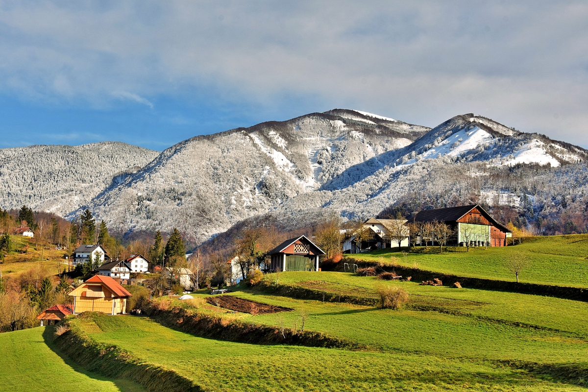 Srednje Brdo kozolci in sneg. Foto: Uroš Gantar