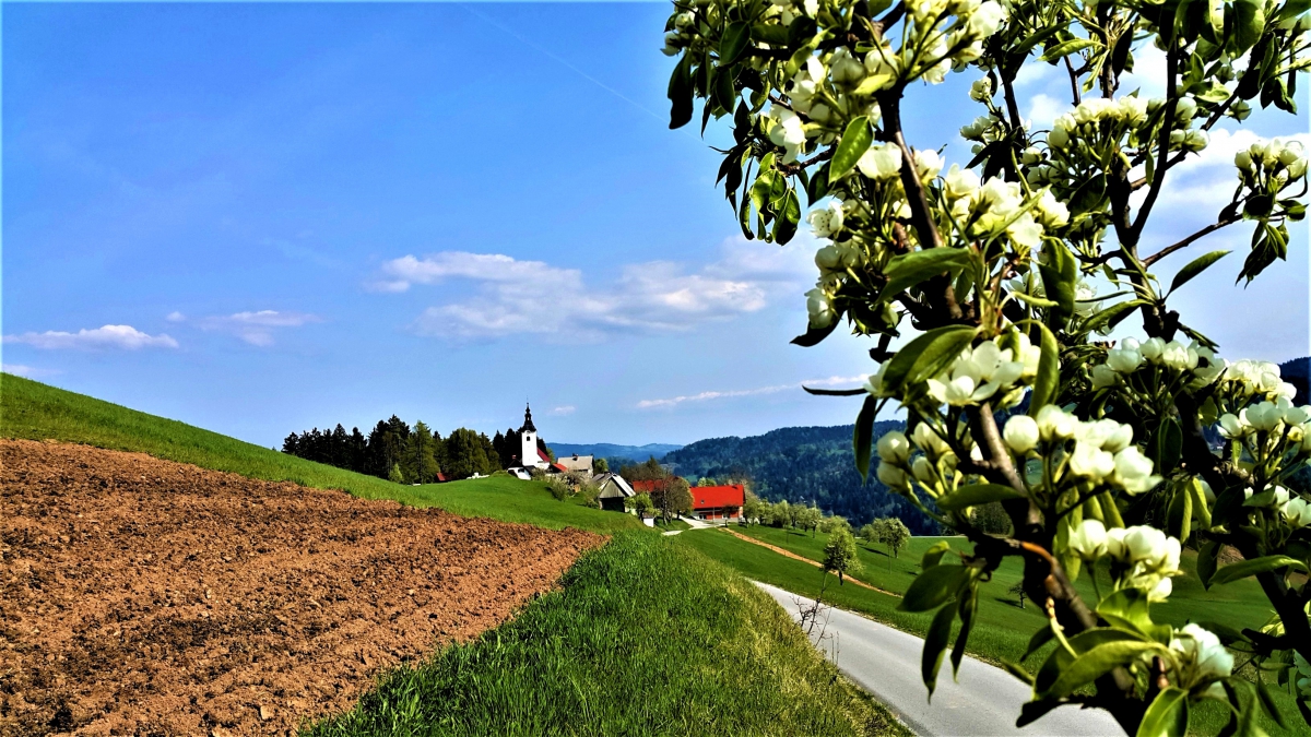 Nova Oselica. Foto: Lucija Kavčič
