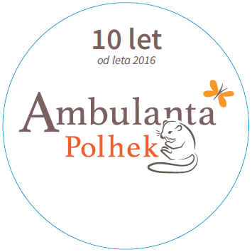 10-letnica delovanja Ambulante Polhek