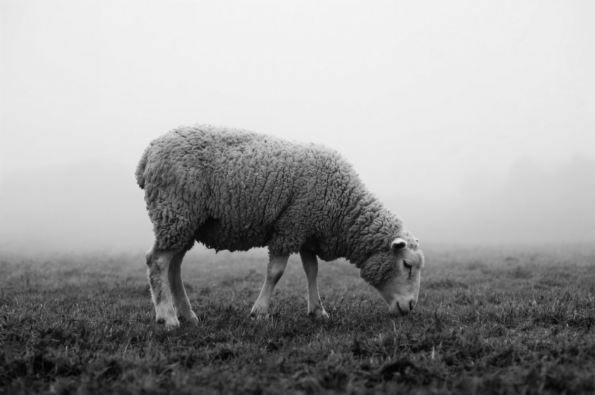 Slika je simbolična. Foto: Freepik